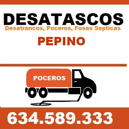 desatascos Pepino