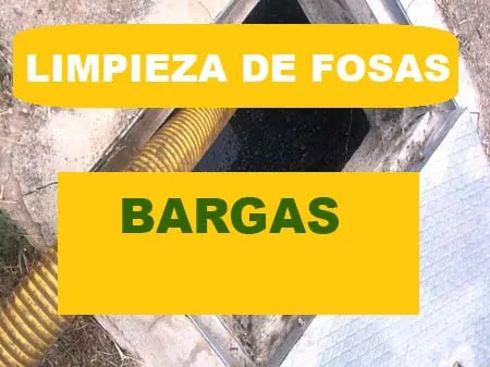 limpieza de fosas septicas Bargas