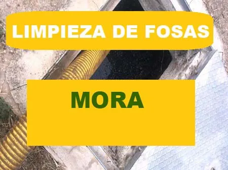 limpieza de fosas septicas Mora