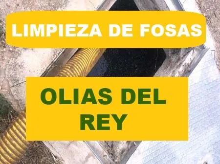 limpieza de fosas septicas Olias del Rey